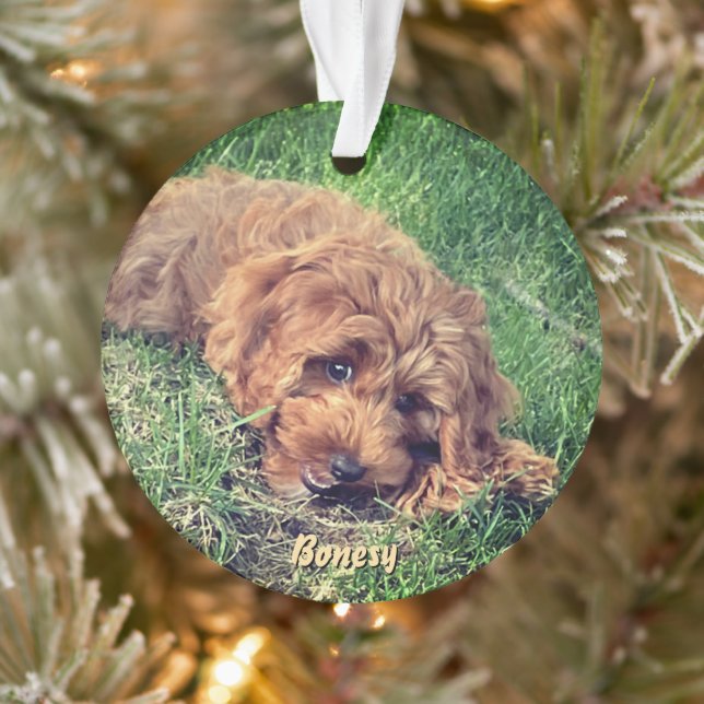 Ornamento Cute Golden Doodle Ornament (Árvore)