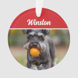 Ornamento Cute Schnauzer Dog Holiday Christmas Photo