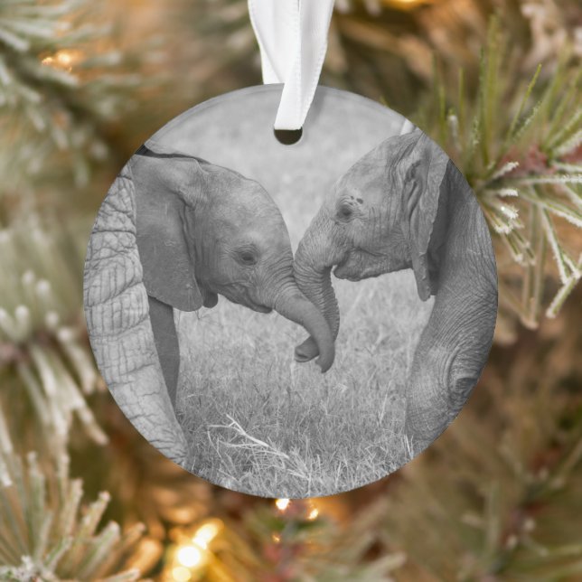 Ornamento Cutest Baby Animals | Baby Elephants Greeting (Árvore)