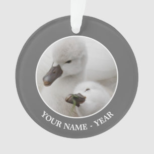 Ornamento Cygnets da cisne muda