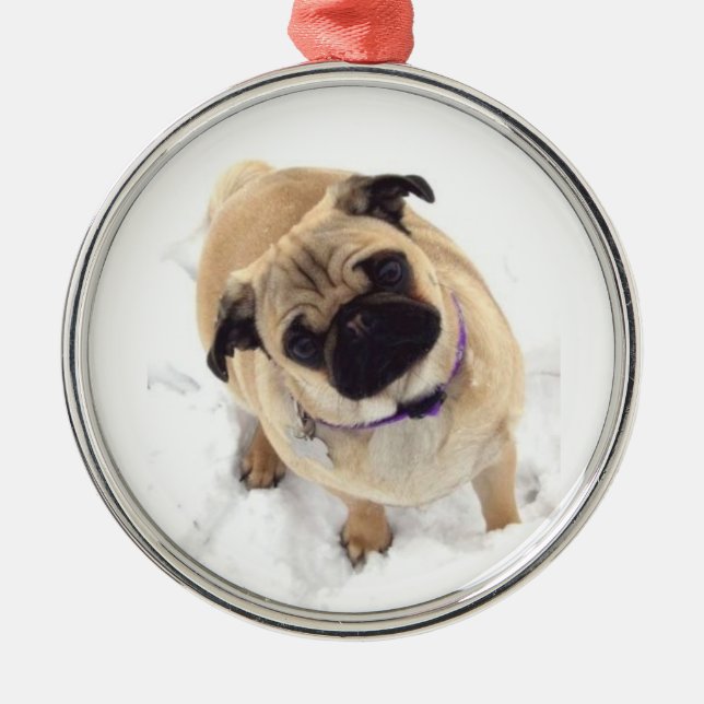 Ornamento da árvore de Natal do Pug (Frente)