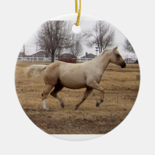 Ornamento da beleza em movimento