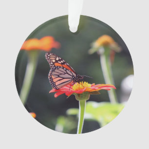 Ornamento da borboleta