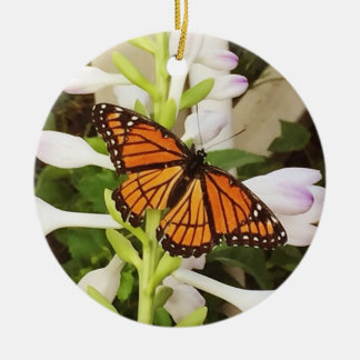 Ornamento da borboleta