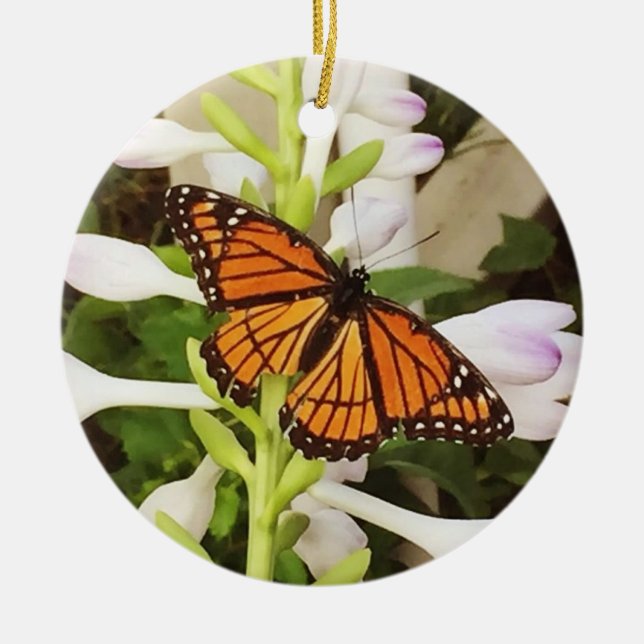 Ornamento da borboleta (Frente)