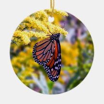 Ornamento da borboleta de monarca