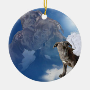 Ornamento da caridade, da esperança & da fé