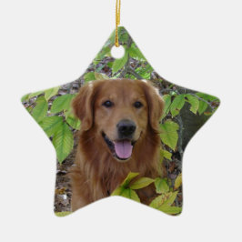 ORNAMENTO DA ESTRELA DO GOLDEN RETRIEVER