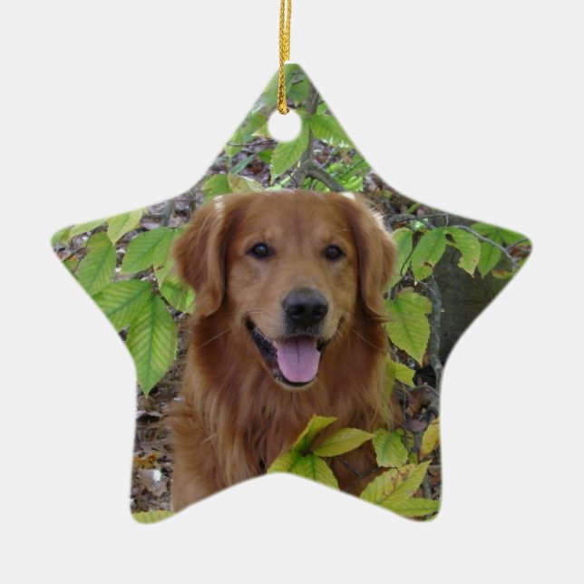 ORNAMENTO DA ESTRELA DO GOLDEN RETRIEVER (Frente)
