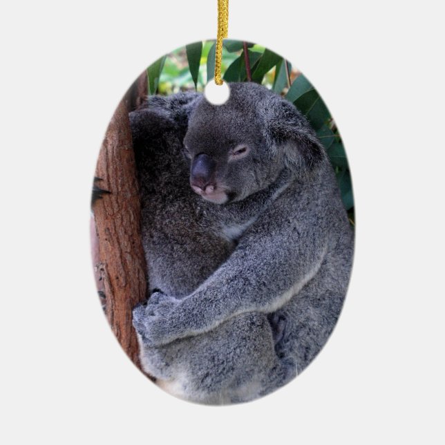 Ornamento da família do Koala (Frente)