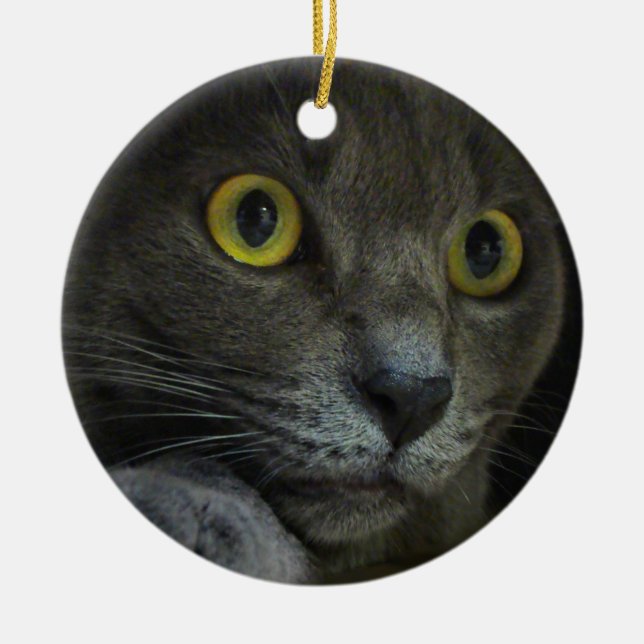 Ornamento da intensidade (Frente)