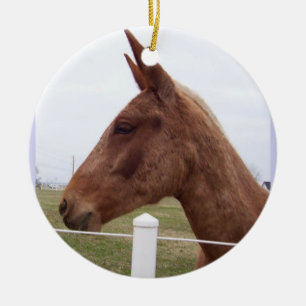Ornamento da maré da mula