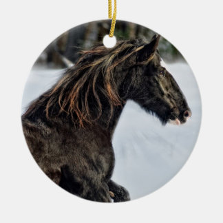 Ornamento da neve de Brenda Lee