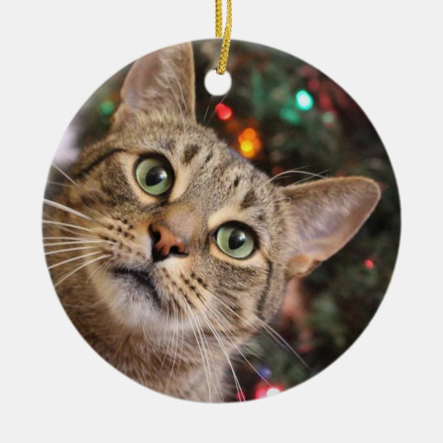 ornamento da Tabby de Natal (Frente)