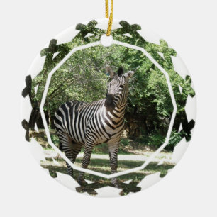 Ornamento da zebra