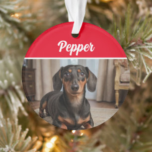 Ornamento Dachshund Lisa com Nome e Foto de Natal