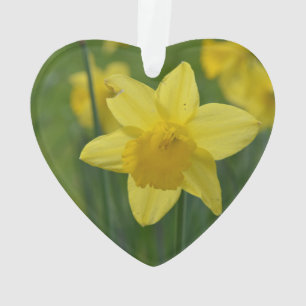 Ornamento Daffodil amarelo bonito