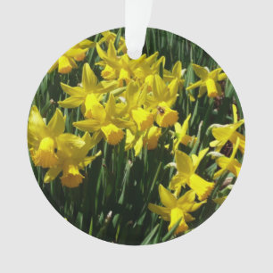 Ornamento Daffodils Amarelos I Flores De Mola Cheery