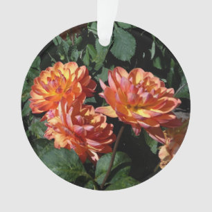 Ornamento Dahlia Pam Howden nº 1 Ornament