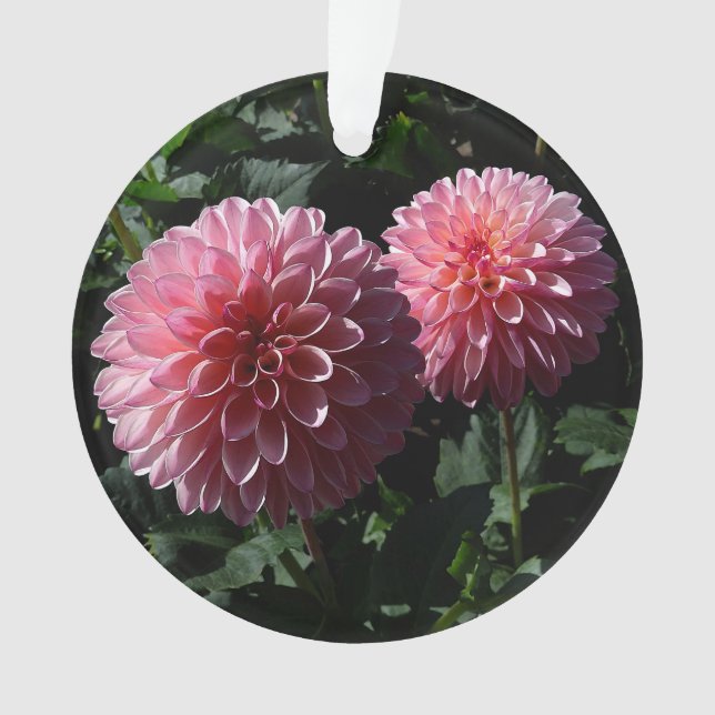 Ornamento Dahlia Valley Porcupine #1 Ornament (Frente)