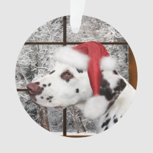 Ornamento Dalmatian do Natal