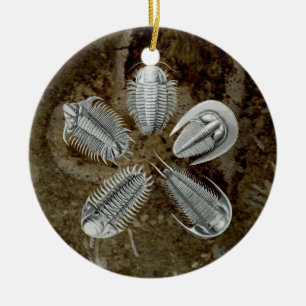 Ornamento de 5 Trilobites