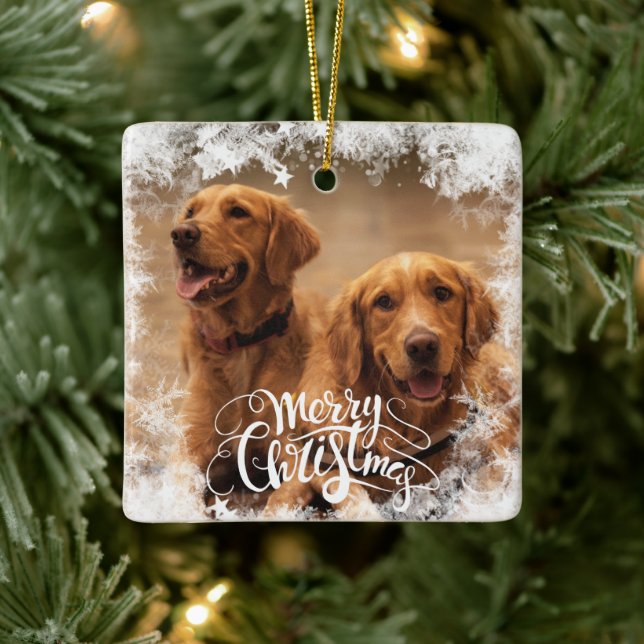 Ornamento de Árvore de Natal Foto Congelada (Árvore)