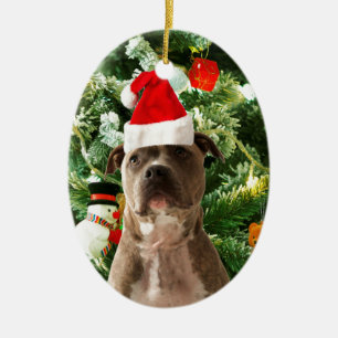 Ornamento de Árvores de Natal do Cão Pitbull Snowm
