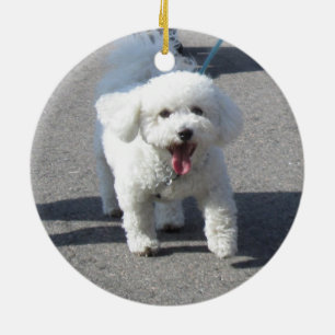 Ornamento de Bichon Frise