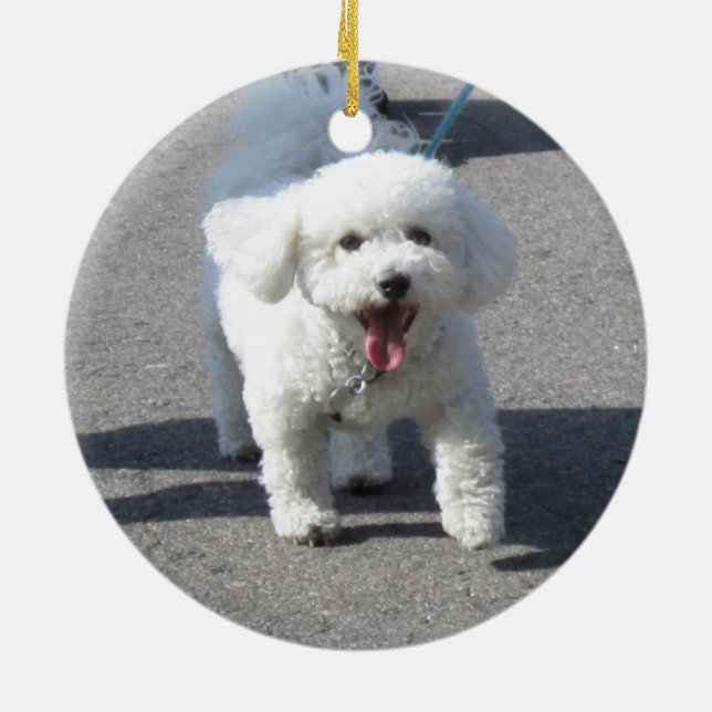 Ornamento de Bichon Frise (Traseira)