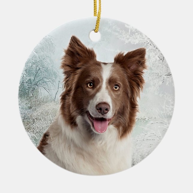 Ornamento de border collie do chocolate (Frente)