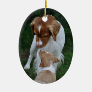 Ornamento de Brittany do pai & do filho