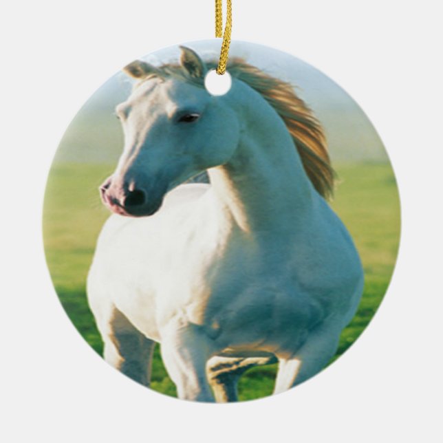 Ornamento de Cavalo Branco (Frente)