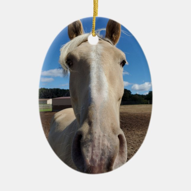 Ornamento de Cavalo Walking no Tennessee no Champa (Frente)