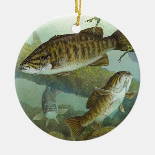 ORNAMENTO DE CERÂMICA コクチバス (Frente)