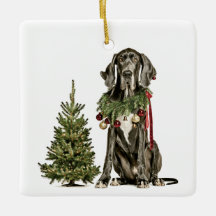 1º Natal Lar Eterno, Great Dane, Texto Vermelho