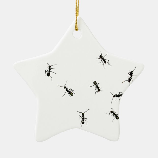 Ornamento De Cerâmica 10 formigas (Frente)