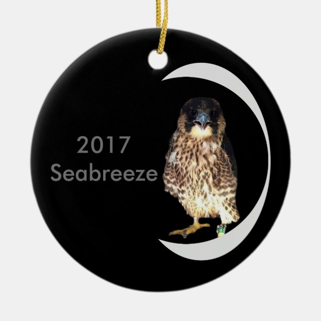 Ornamento De Cerâmica 2017 Cerâmica Ornament Seabreeze (Frente)