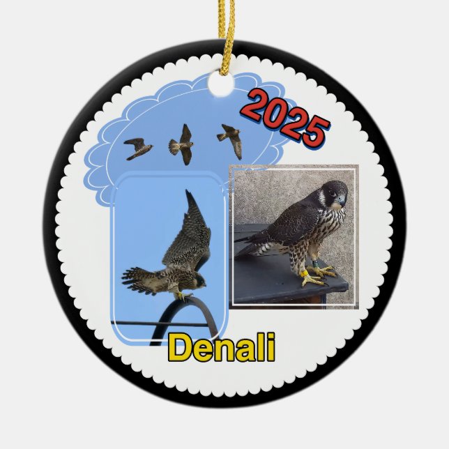 Ornamento De Cerâmica 2025 Ceramic Circle Ornament Denali (Frente)