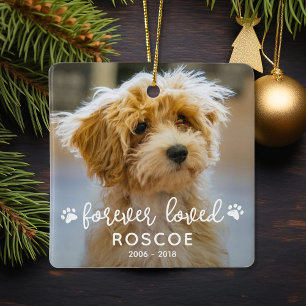 Ornamento De Cerâmica 2 Foto de Memorial Pet Amado