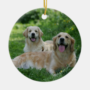 Ornamento De Cerâmica 2 Retrievers dourados que colocam na grama