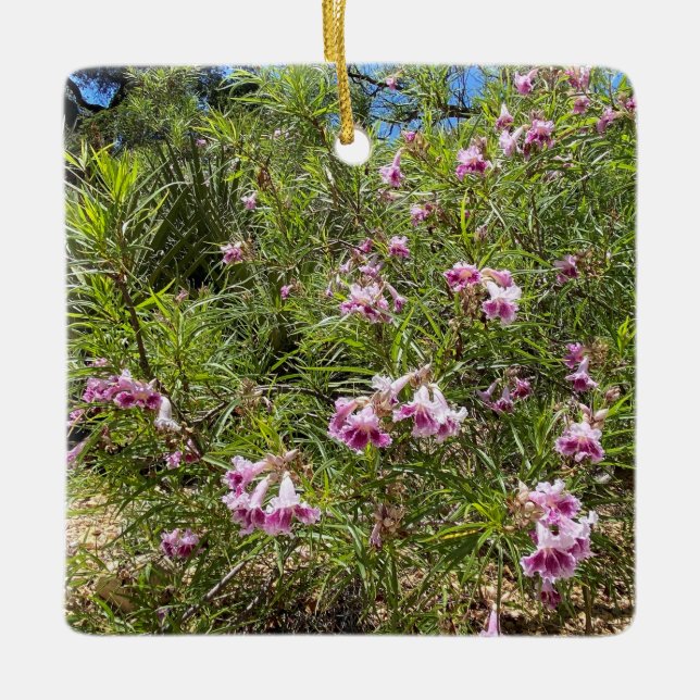 Ornamento De Cerâmica A Blooming California: Desert Willow (Frente)