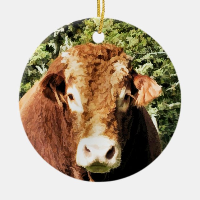 ORNAMENTO DE CERÂMICA A CULPA (Frente)