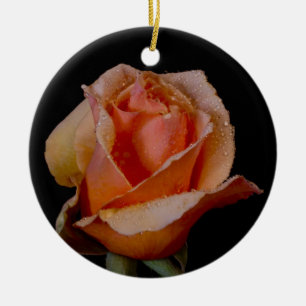 Ornamento De Cerâmica A laranja bonito aumentou