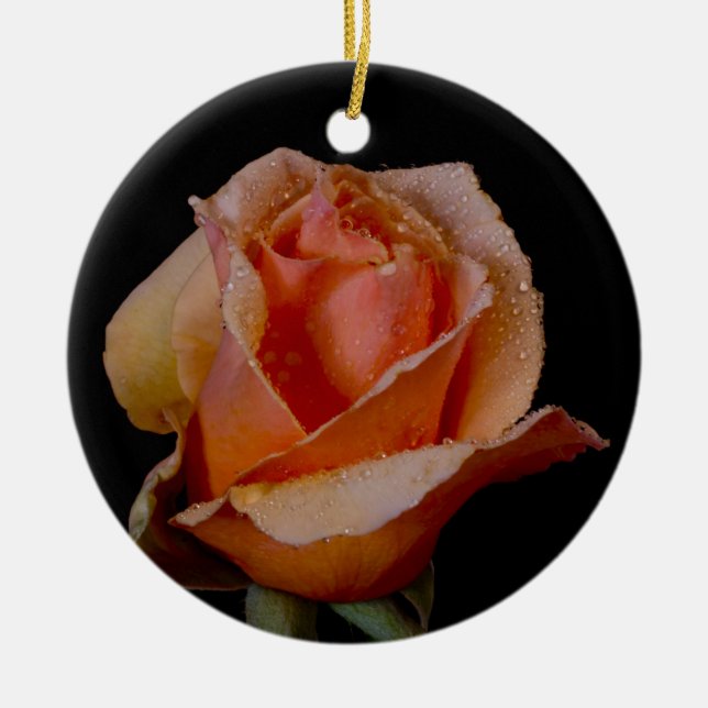 Ornamento De Cerâmica A laranja bonito aumentou (Frente)