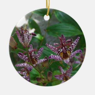 Ornamento De Cerâmica A orquídea listrada branca cor-de-rosa roxa gosta
