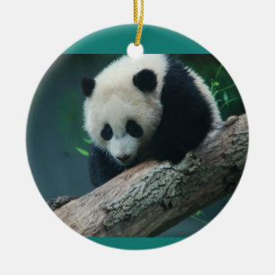 Ornamento De Cerâmica A panda gigante Cub de Bao Bao ornament