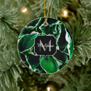 Ornamento De Cerâmica A planta verde vibrante do undulata do Hosta sae