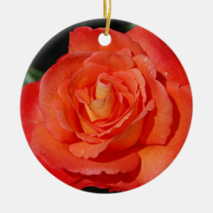 Ornamento De Cerâmica A única laranja aumentou