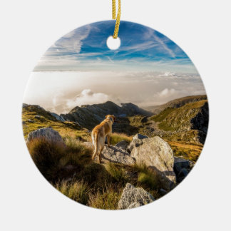 Ornamento De Cerâmica A viagem